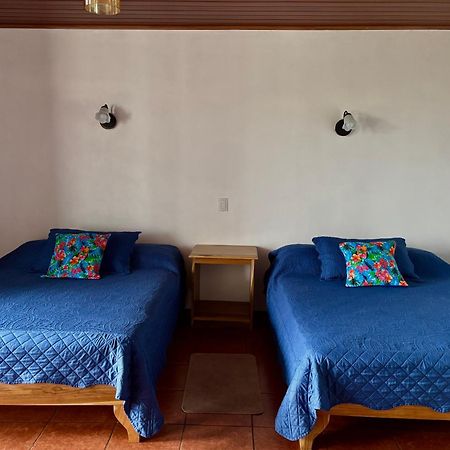 Monteverde Ecolodge Екстер'єр фото